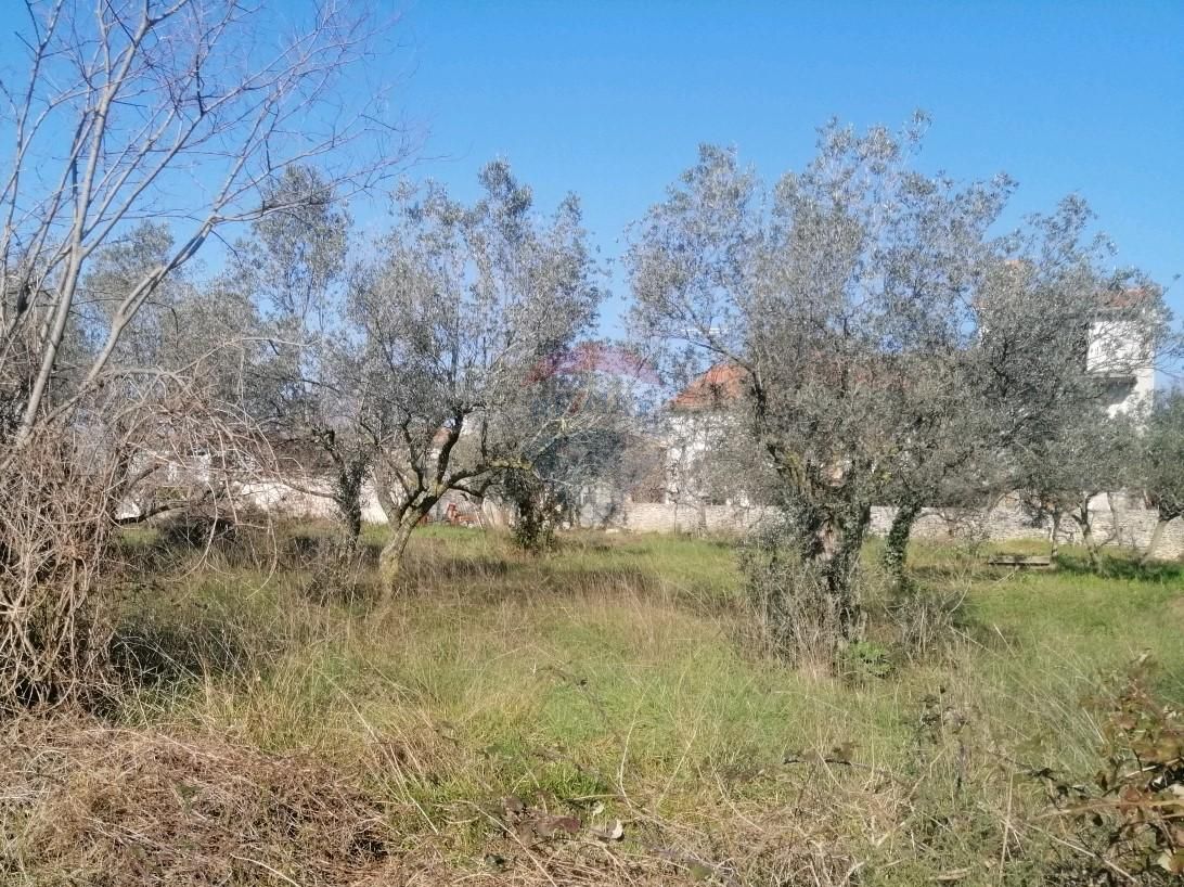 Fotografija