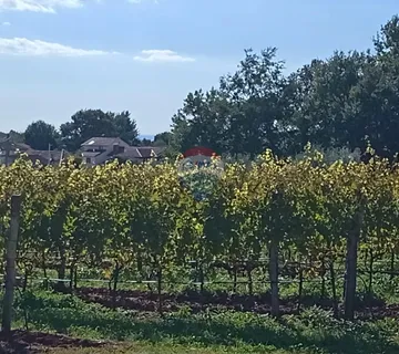 Istra, Vižinada, okolica- građevinsko zemljište na rubu naselja - cover