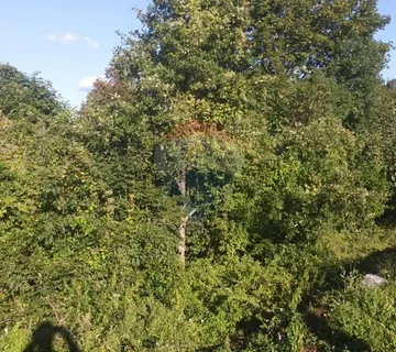 ZALUKI, GRAĐEVINSKO ZEMLJIŠTE PRAVILNOG OBLIKA  - KRUG 1011 M2 - cover