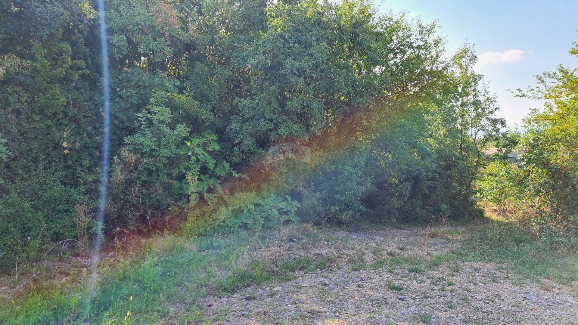 Fotografija