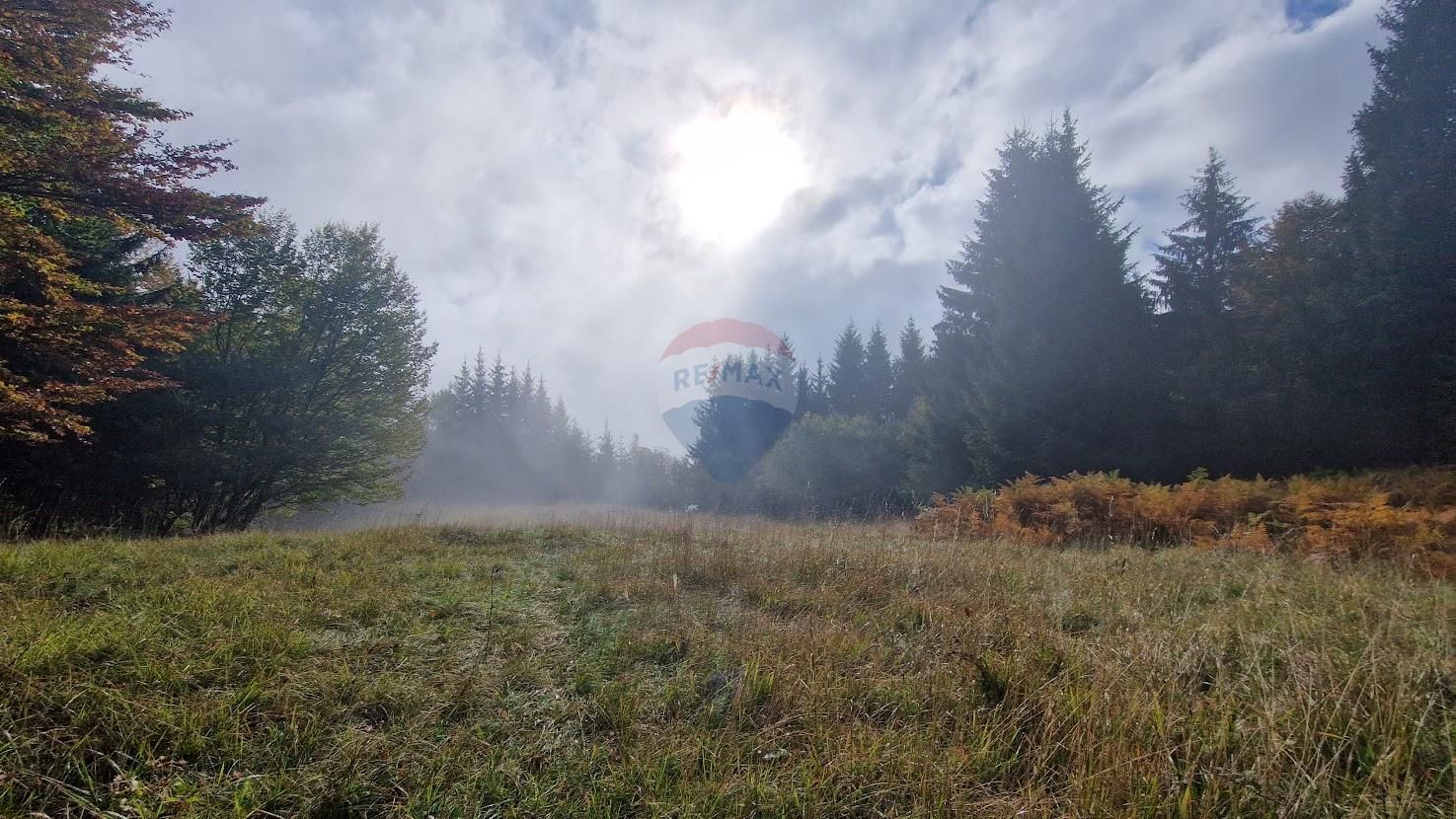 Fotografija