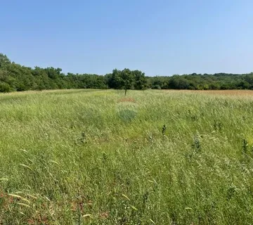 Istra,Loborika,zemljište na rubu urbanizacije - cover
