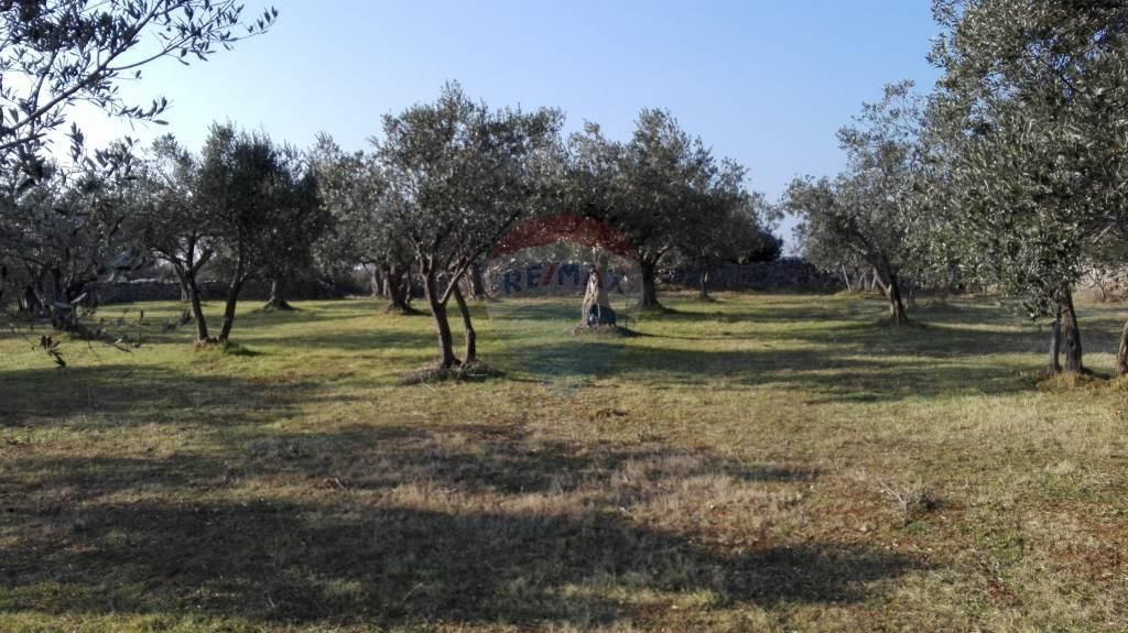 Fotografija