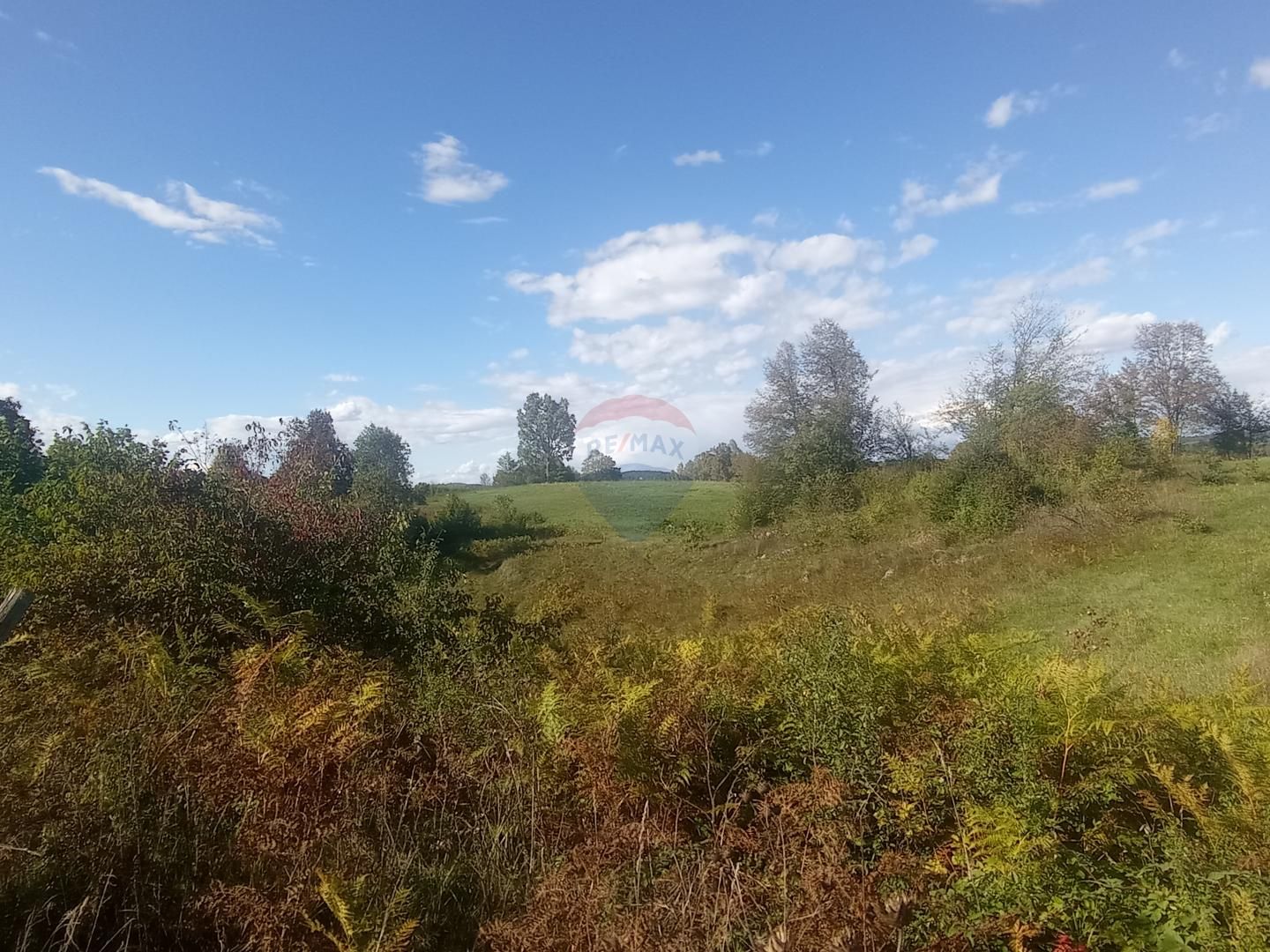 Fotografija