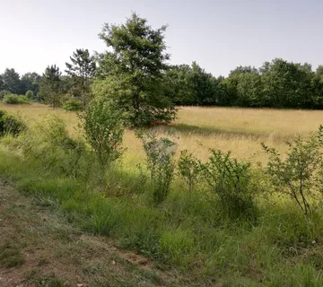 Istra, Tinjan, poljoprivredno zemljište 3274 m2 - cover