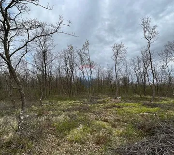 Višnjan - okolica, poljoprivredno zemljište uz asfaltiranu prometnicu - cover