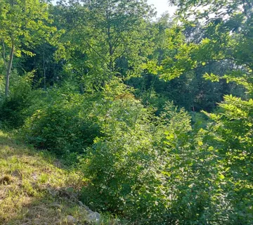 Klana - negrađevinsko zemljište, šuma - cover