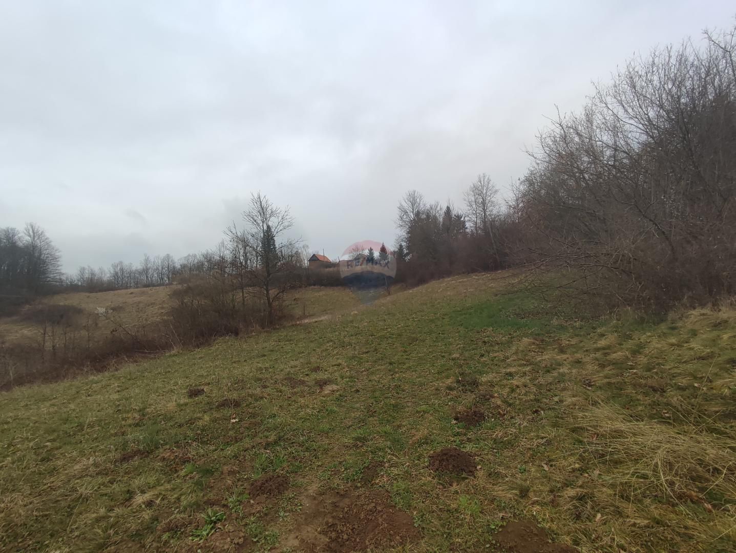 Fotografija