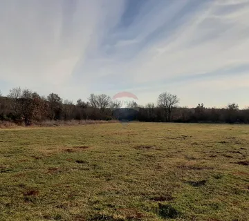 Istra, Bale - poljoprivredno zemljište - cover