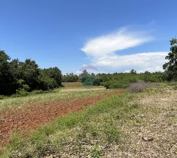 Kaštelir, okolica - poljoprivredno zemljište ukupne kvadrature 22708 m2 - cover