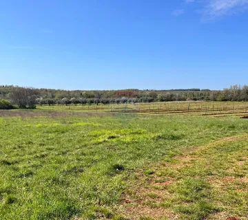 Istra, Brtonigla , okolica, poljoprivredni tereni - cover