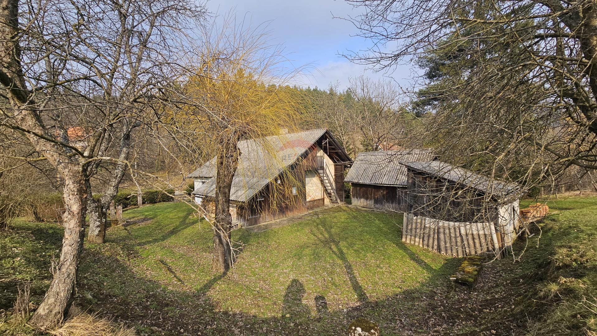 Fotografija