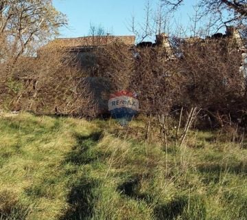 Istra, okolica Vodnjana, stancija od 30 000 m2 na prodaju! - cover