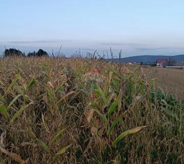 Ogulin - Poljoprivredno zemljište blizina jezera Sabljaci - cover