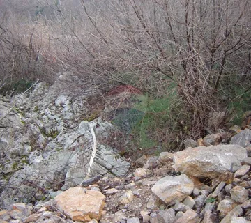 G.Zamet - gređevinski teren - 80eur/m2 - cover