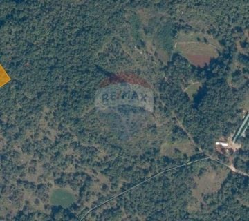 ISTRA, PAZIN, TRVIŽ POLJOPRIVREDNO ZEMLJIŠTE-ŠUMA 4978m2  - cover
