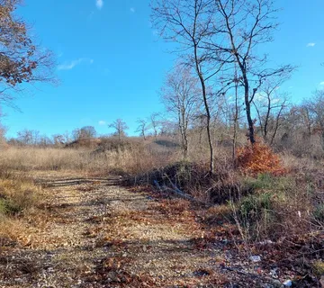 Istra, Rovinj, poljoprivredno zemljište 1400m2 - cover