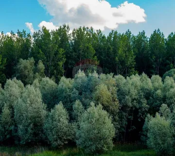Otočac, Poljoprivredni teren sa šumom, 2601 m2 - cover