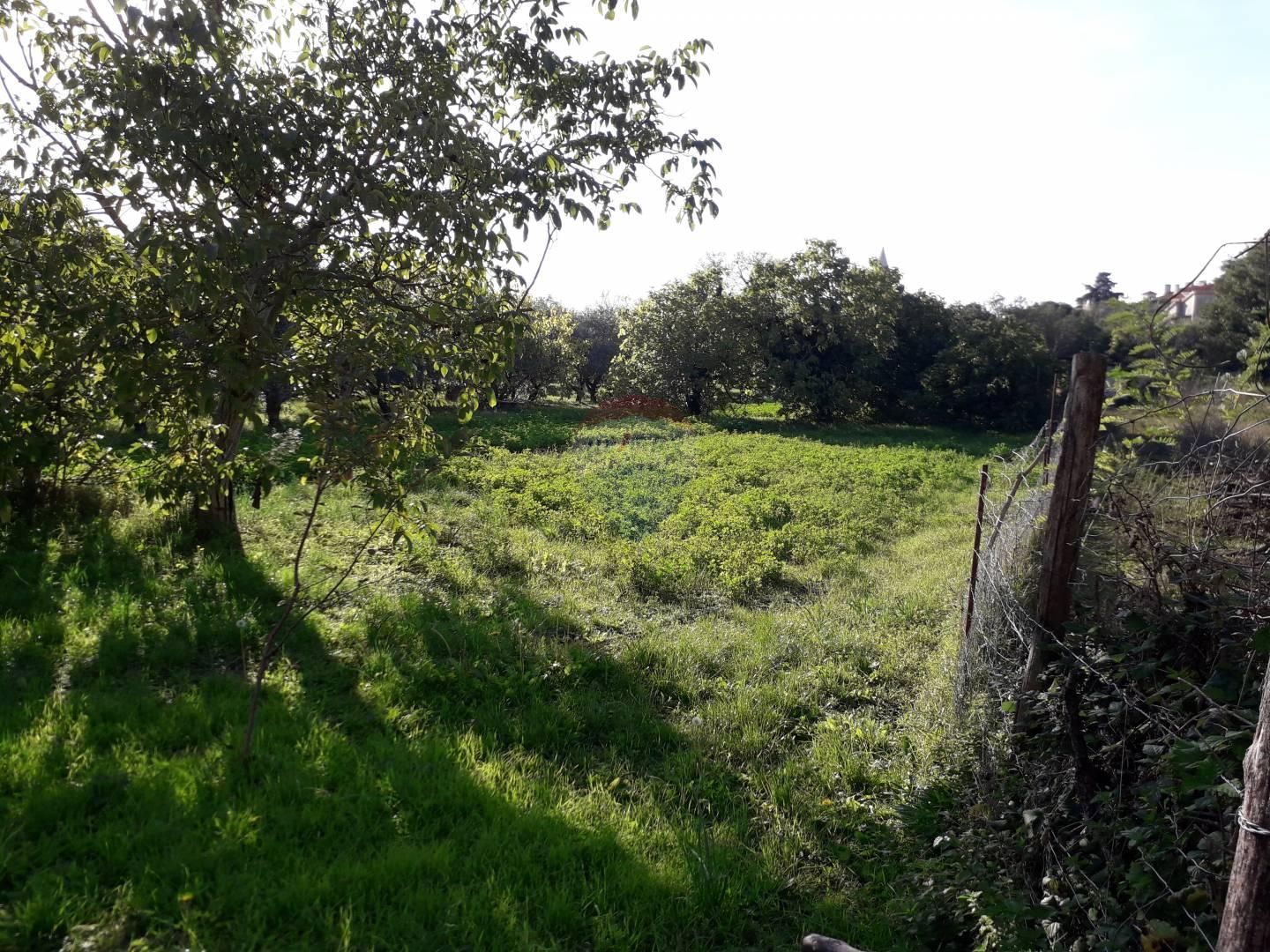 Fotografija