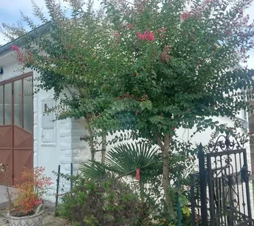 Matulji, poslovna zgrada - cover