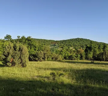 Istra, Bale - poljoprivredne parcele razne površine - cover