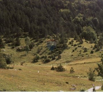 Senj, Krivi put - građevinski teren, 5000 m2 - cover
