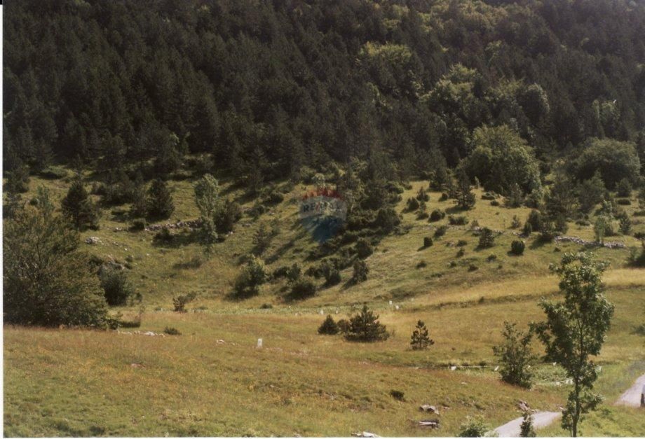 Fotografija