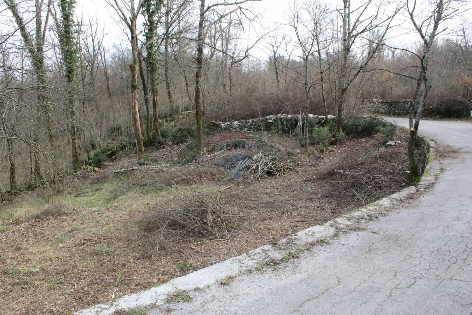 Fotografija