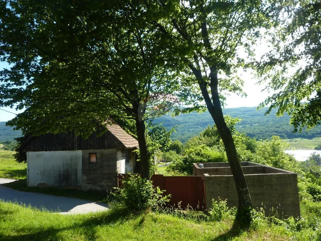 Fotografija