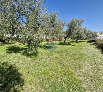 Istra, Peruški - Građevinsko zemljište, 493 m2 - cover