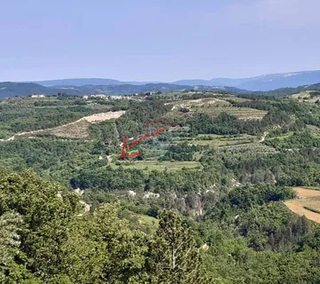 Istra, Draguć starina za adaptaciju sa poljoprivrednim zemljištem i maslinikom - cover