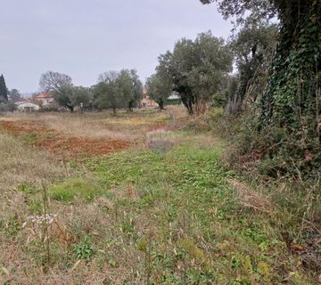 Istra, Smoljanci - poljoprivredno zemljište na rubu urbanizacije - cover