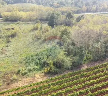 Istra, Vižinada okolica, negrađevinsko zemljište 8200 m2 - cover