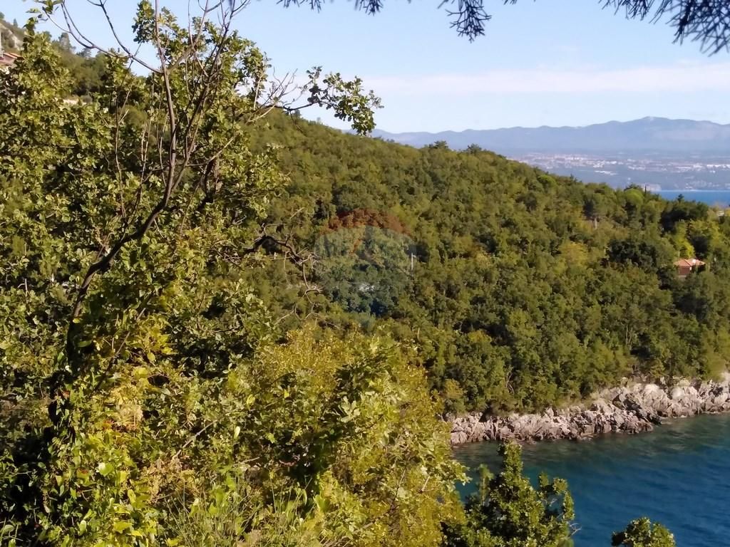 Fotografija