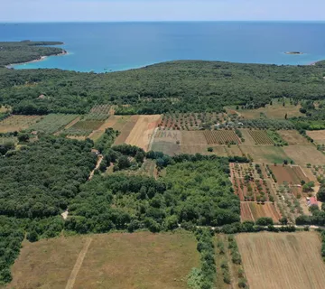 Rovinj,prekrasna poljoprivredna parcela sa ucrtanom kućom-14700m2 blizu mora - cover