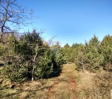 Istra, okolica Vodnjana, veliko poljoprivredno zemljište - 21027 m2 (5 Eura/m2) - cover