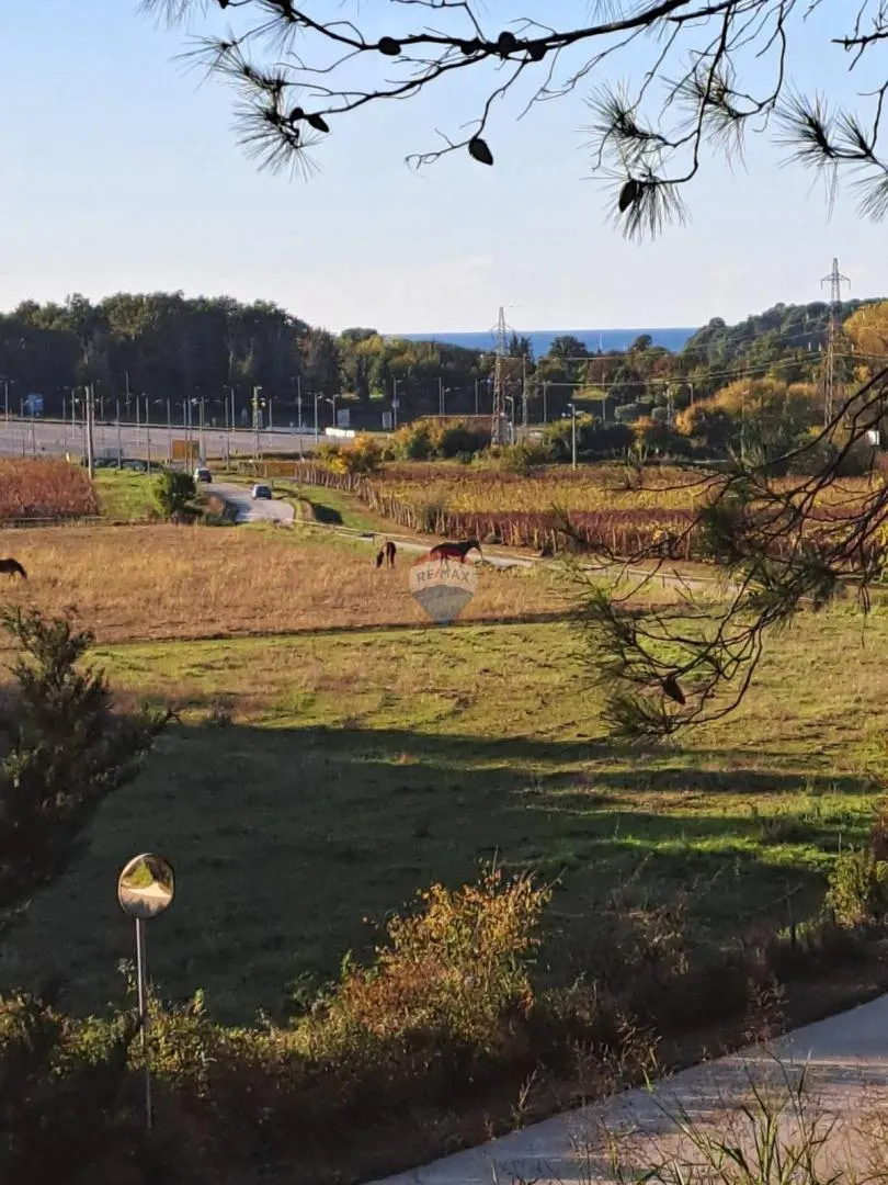 Poreč, lijepa poljoprivredna parcela sa pogledom na more - cover
