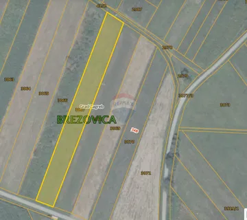 Zemljište, Hudi Bitek, 2924m2, struja i voda  - cover