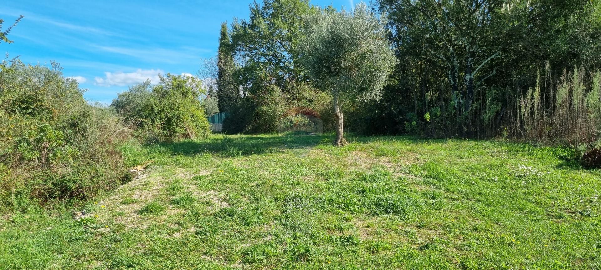Fotografija