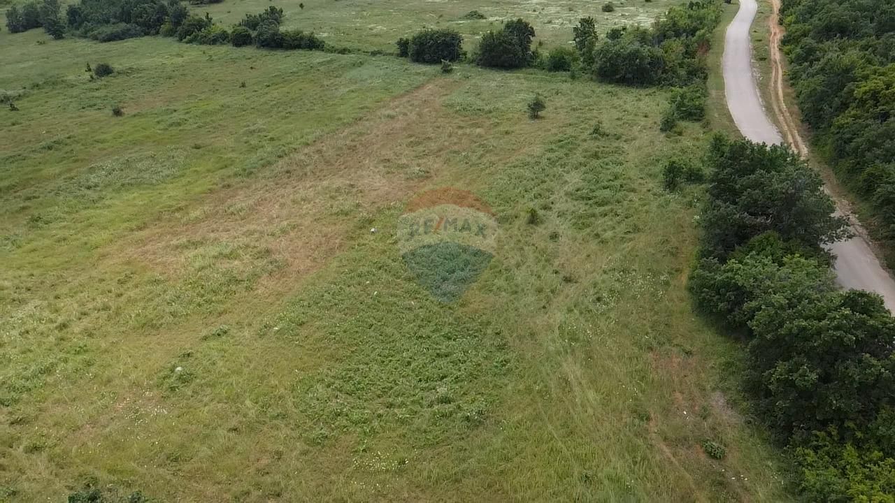 Fotografija
