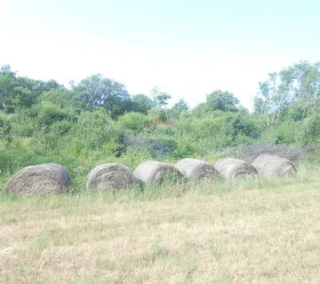 Istra,okolica Peruški, poljoprivredno zemljište uz cestu - cover
