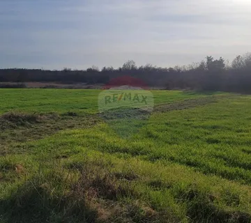 Tar, okolica - poljoprivredno zemljište uz asfaltirani put - cover