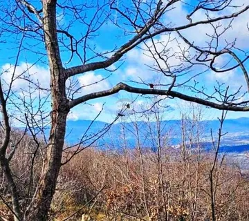 Hreljin, šumsko zemljište od 20000m2 s pogledom na more - cover