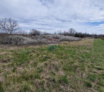 Istra, Bokordići, Negrađevinsko Nemljište 1307m2 - cover