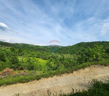 Istra, Buzet, - HITNO - imanje 4,6 ha za 30.000e - cover