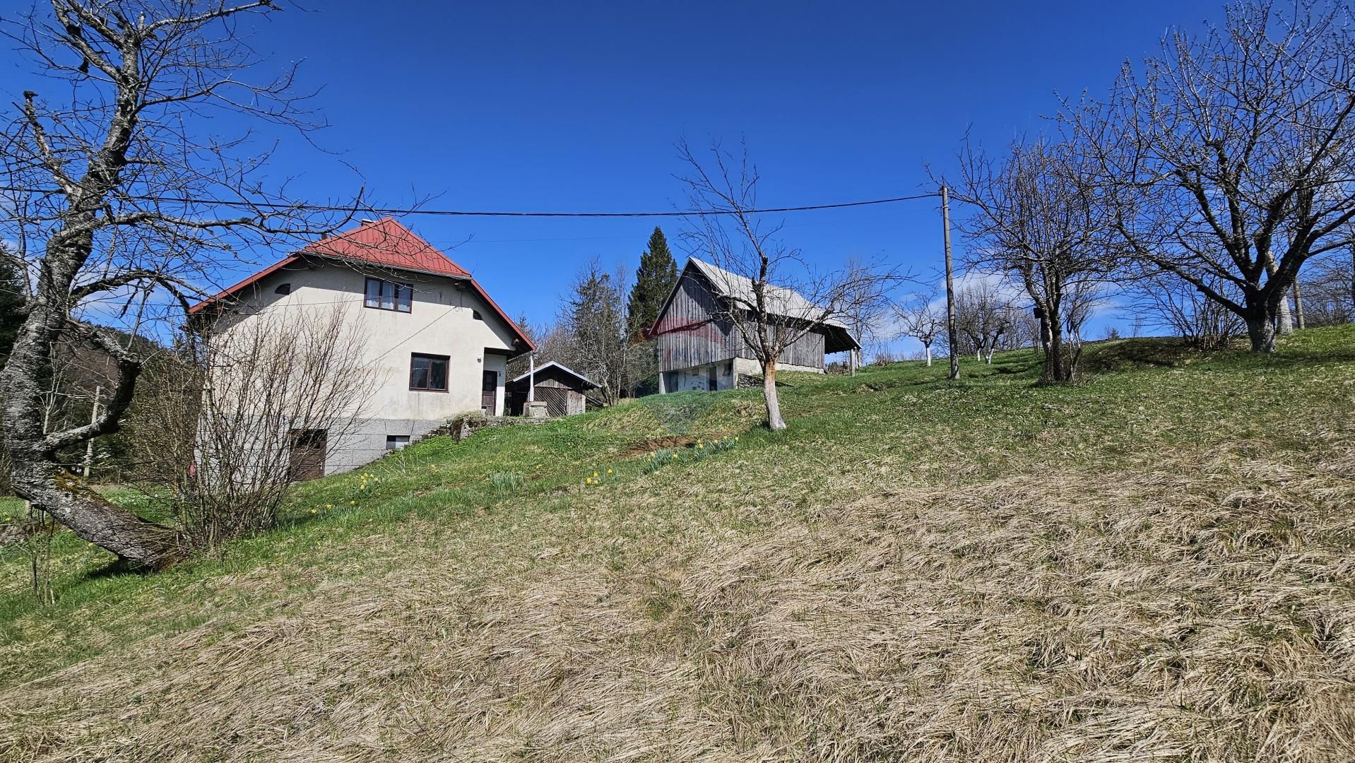 Fotografija