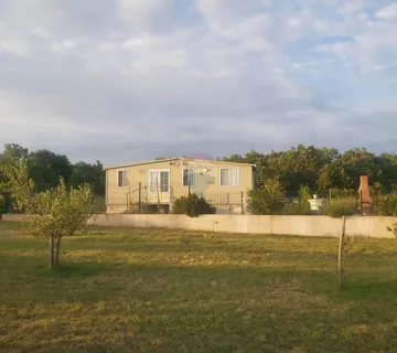 Istra, Svetvinčenat okolica - poljoprivredno zemljište sa 140 maslina - cover