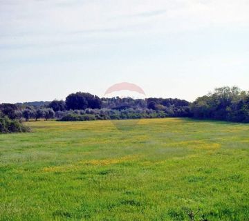 Pula, Ližnjan, građevisnko zemljište TP namjene uz glavnu prometnicu - cover