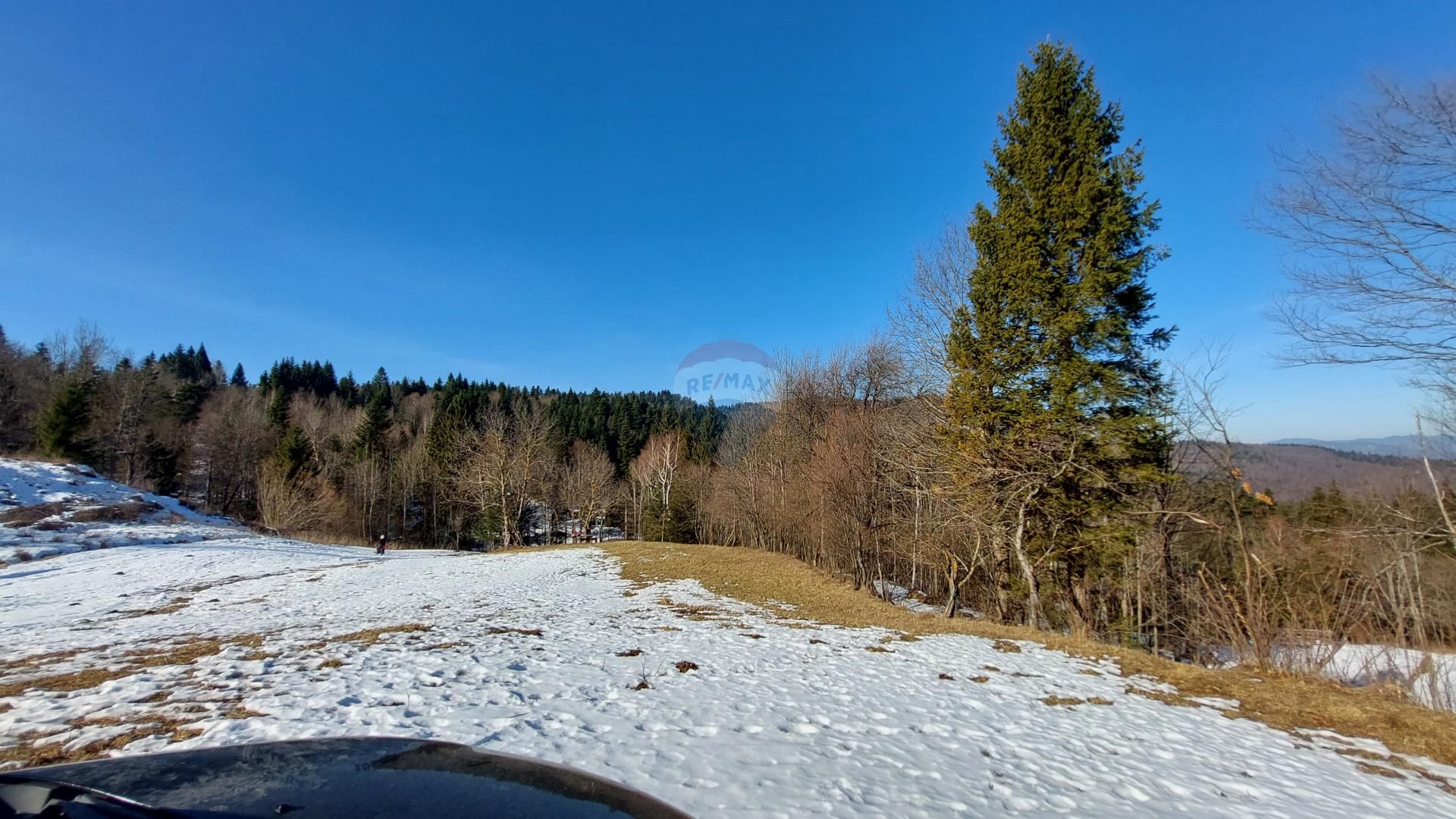 Fotografija