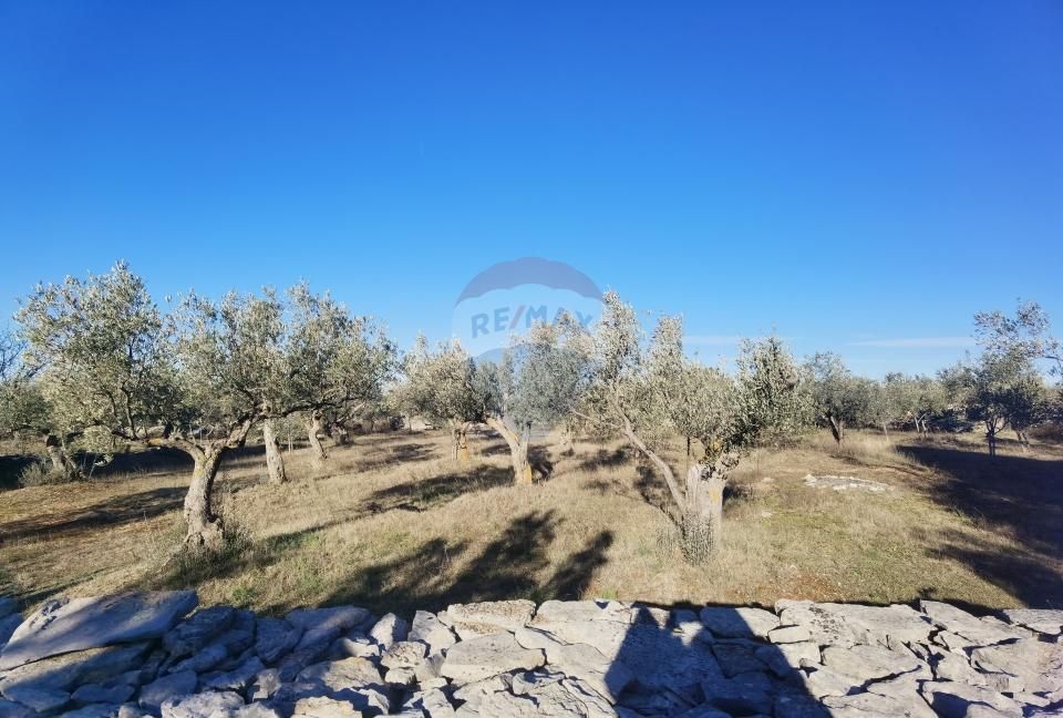 Fotografija